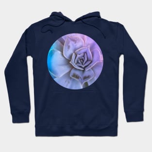 Echeveria succulent plant Hoodie